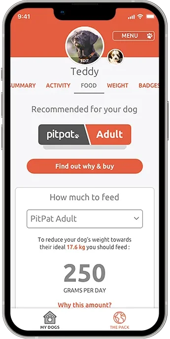 PitPat app showing the food tab
