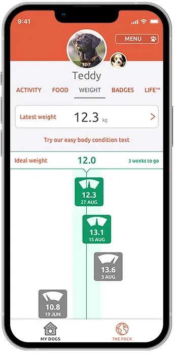 PitPat app showing the weight tab