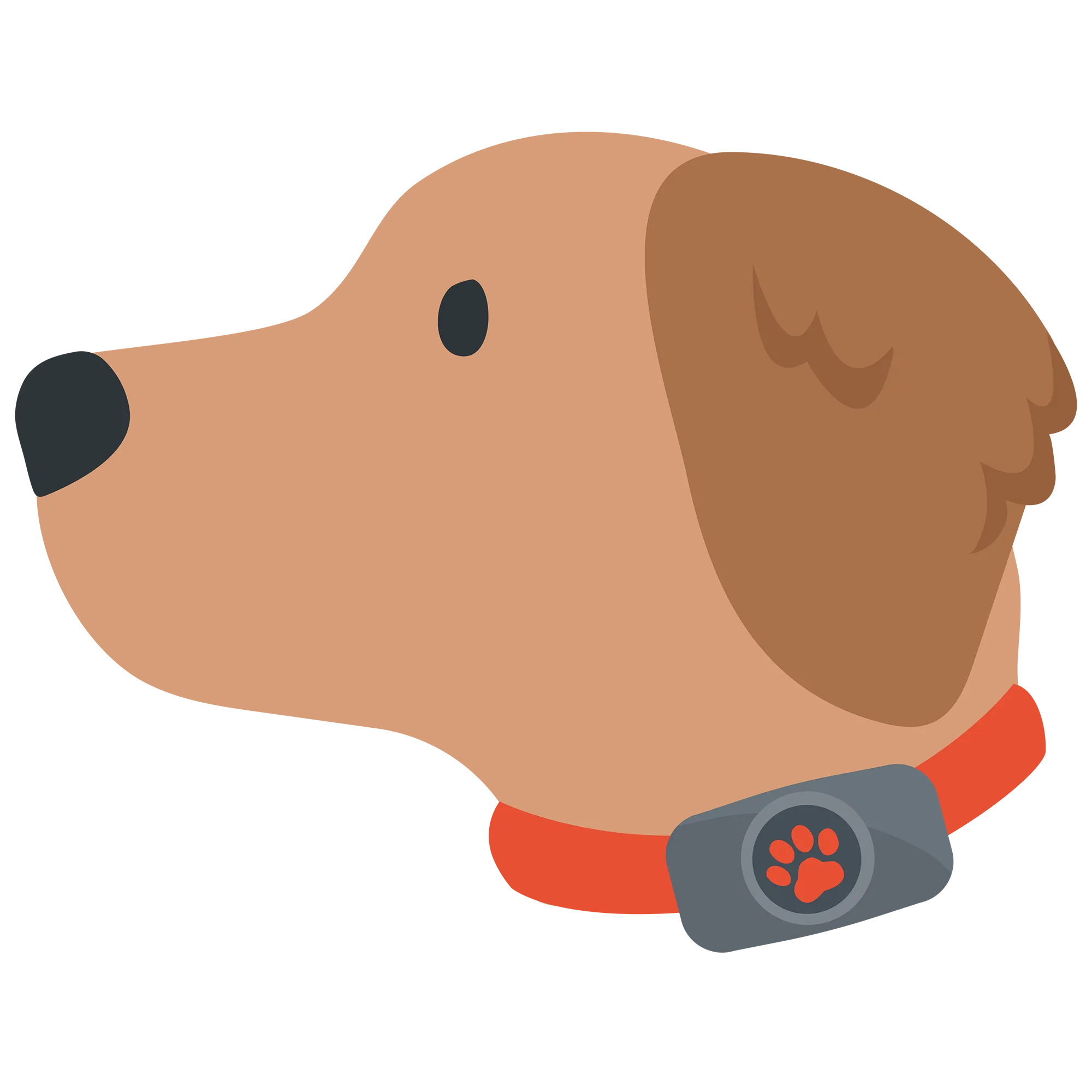 5. Find your dog!